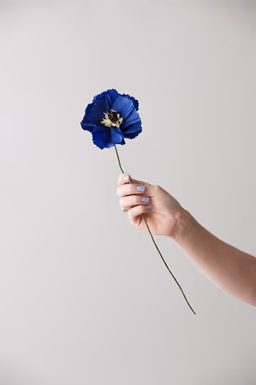 STUDIO ABOUT // FLOWERS