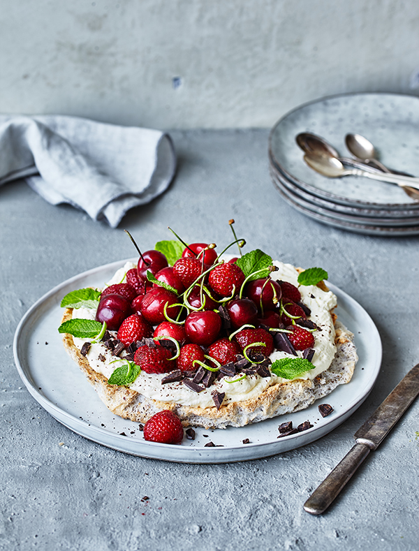 PAVLOVA // ET SUNDT ÅR  // MAYA LüTZHØFT // FADLS FORLAG