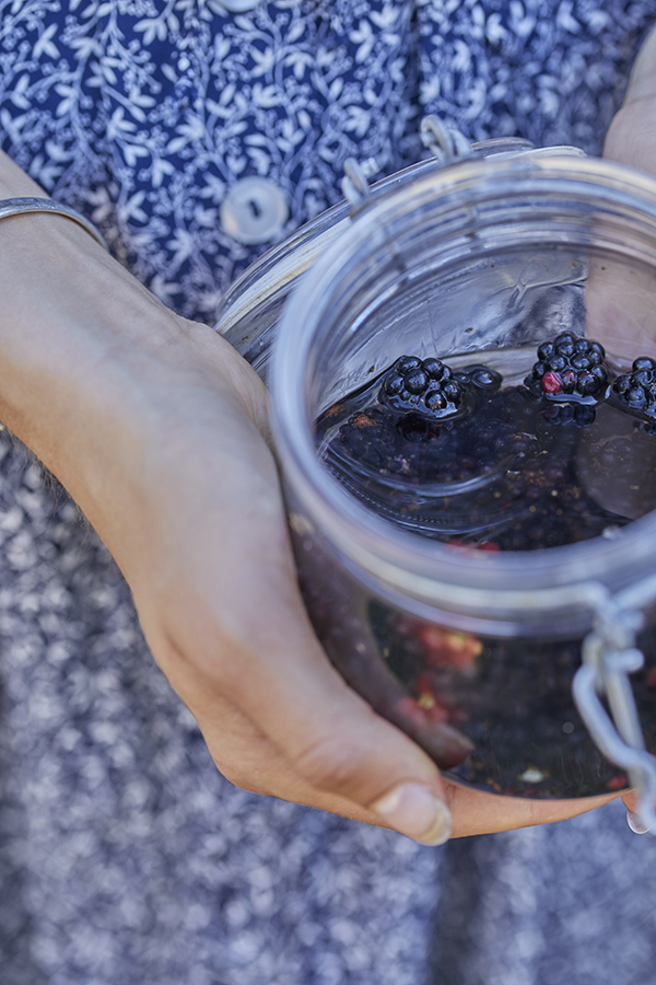 POLITIKENS BOG OM KRYDDERSNAPS // POLITIKENS FORLAG // ANNE HJARNØE //BROMBÆR