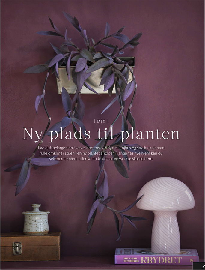 NY PLADS TIL PLANTEN // ISABELLAS NR. 10 2022